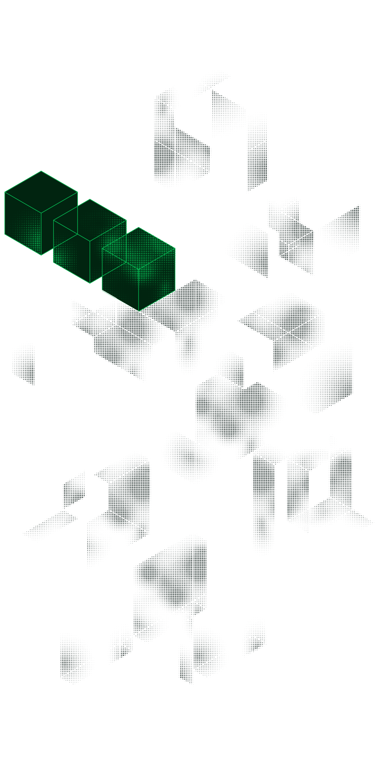 Portable